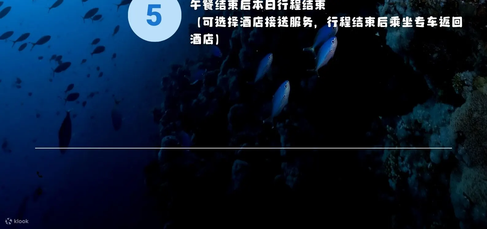 济州岛海钓之旅（含午餐）| 济州岛难忘的钓鱼之旅